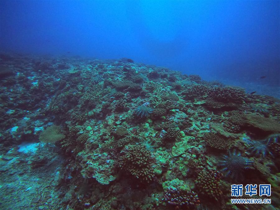 (圖文互動)(1)中沙群島綜合科學(xué)考察項目2020年度綜合航次任務(wù)完成