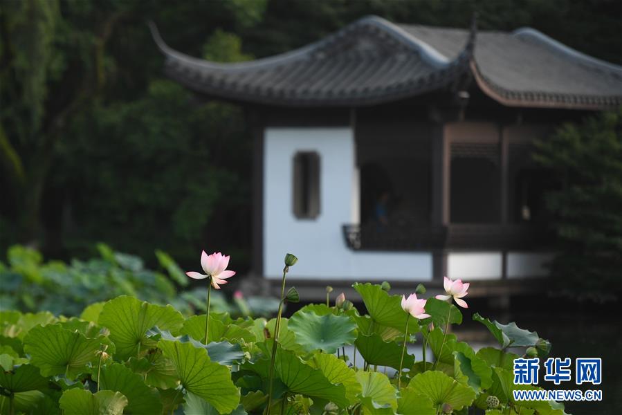 (新華全媒頭條·圖文互動)(7)錢塘今朝更繁華——高水平小康的“杭州答卷”