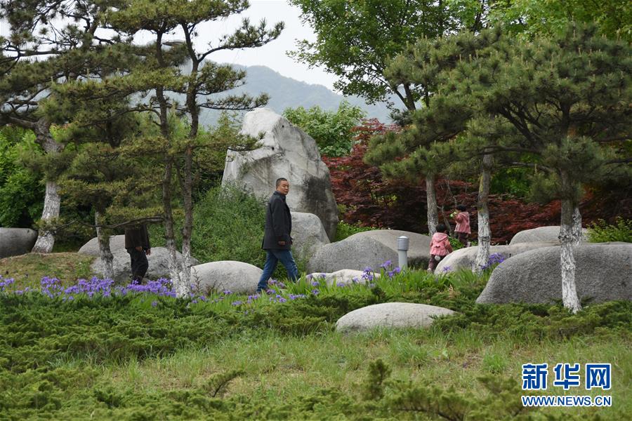 (新華視點·圖文互動)(1)警惕重金“移石造景”之風:有的景觀石一塊逾百萬元