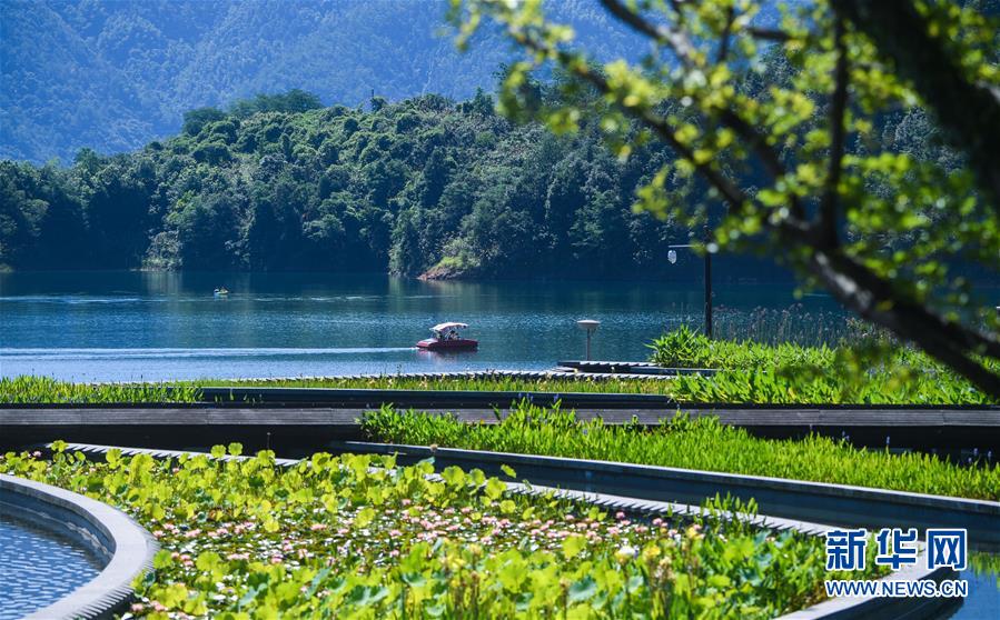 (新華全媒頭條·圖文互動)(8)生態文明之光照耀美麗中國——寫在綠水青山就是金山銀山理念提出15周年之際