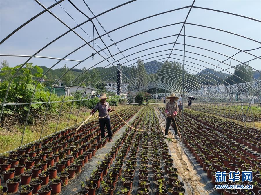(決戰(zhàn)決勝脫貧攻堅(jiān)·圖文互動)(3)安居樂業(yè)并重,搬遷脫貧同步——湖北88萬搬遷群眾脫貧觀察