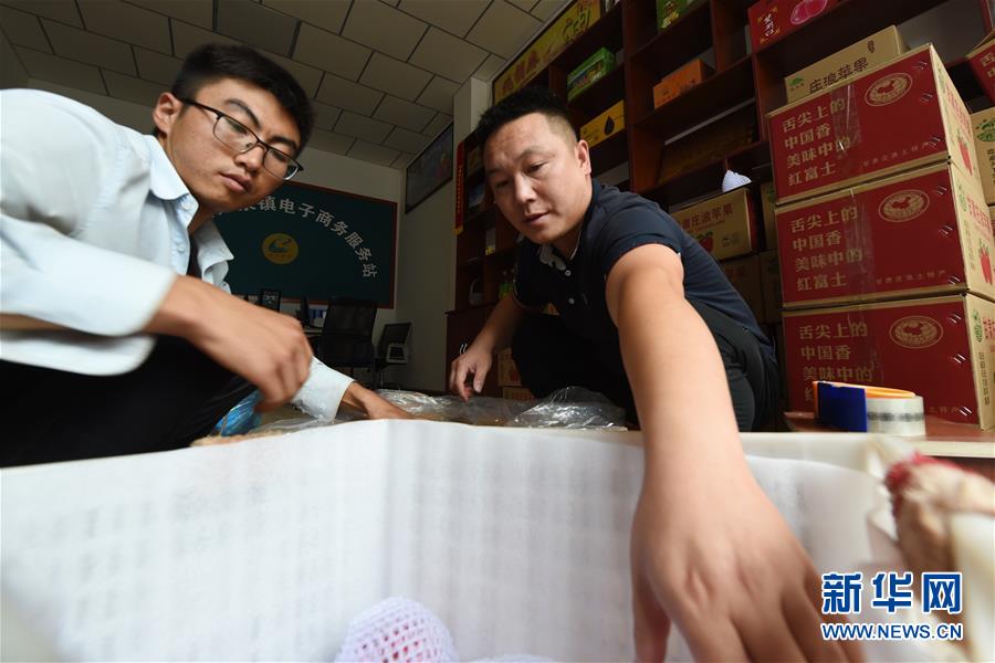 (走向我們的小康生活·圖文互動)(3)在那碧綠的階梯上——“梯田之鄉”甘肅莊浪縣的“三級跳”