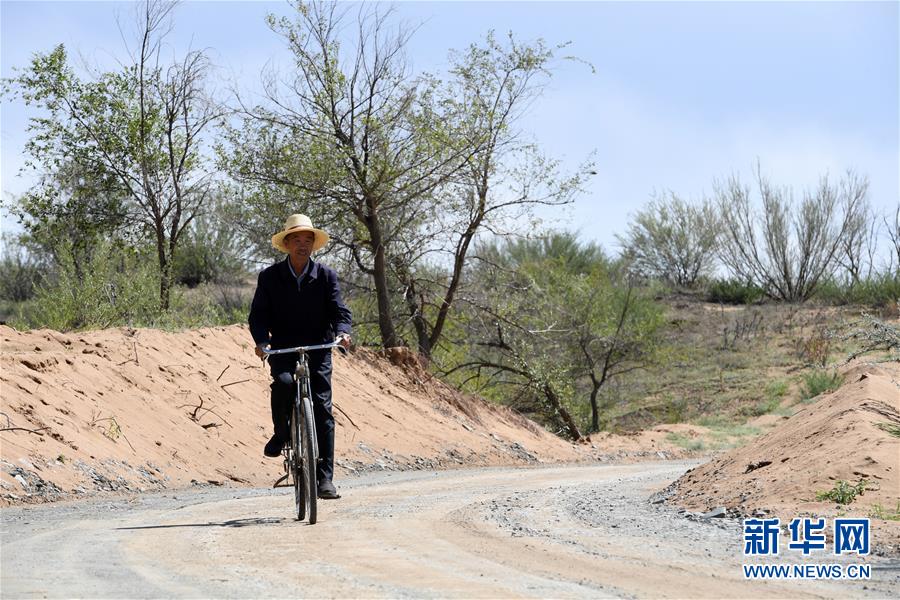 (新華全媒頭條·走向我們的小康生活·圖文互動)(7)“苦甲”不再,“甘味”綿長——脫貧攻堅的甘肅味道