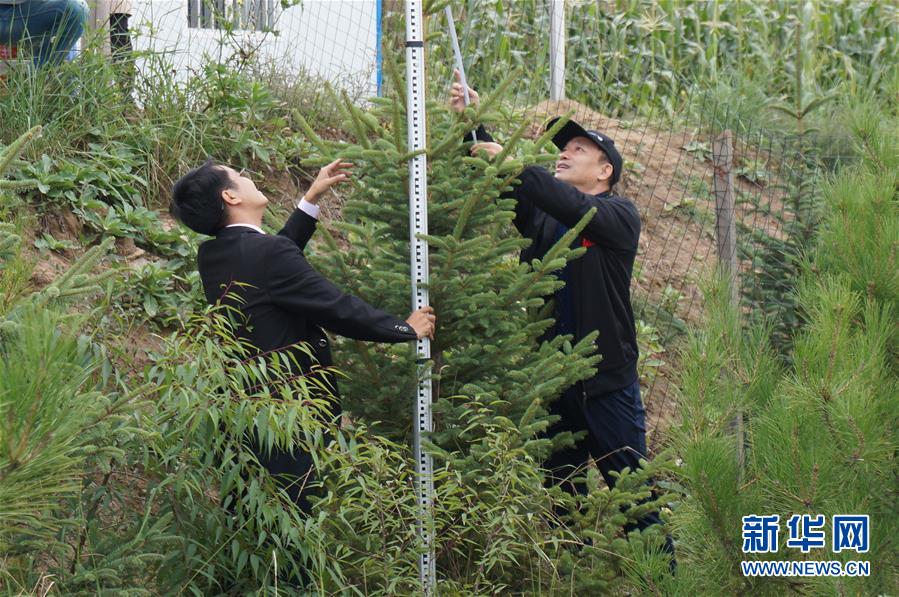 (決戰(zhàn)決勝脫貧攻堅·圖文互動)(2)甘肅定西黃土高坡上,有片“福州林”