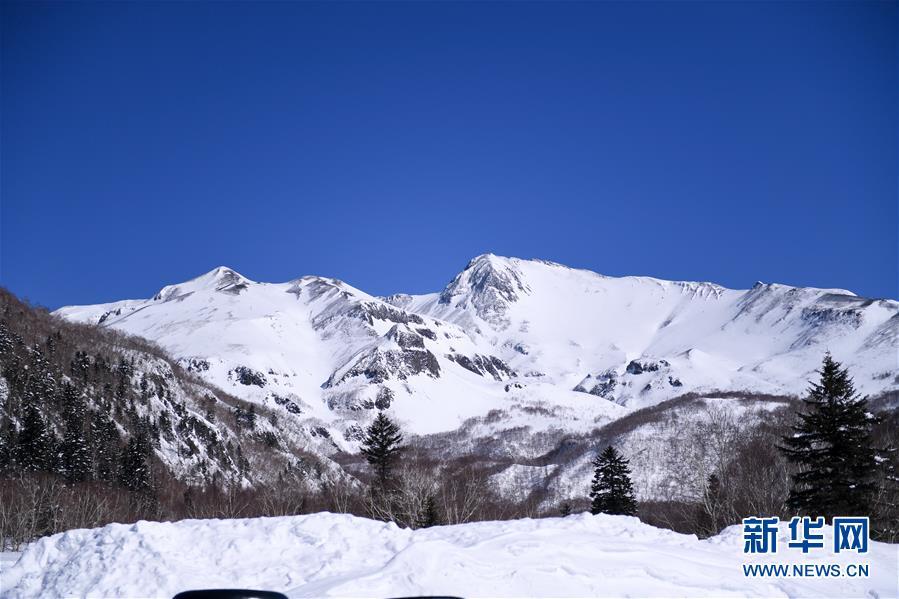 (圖文互動)(6)長白山60年書寫“生態答卷”