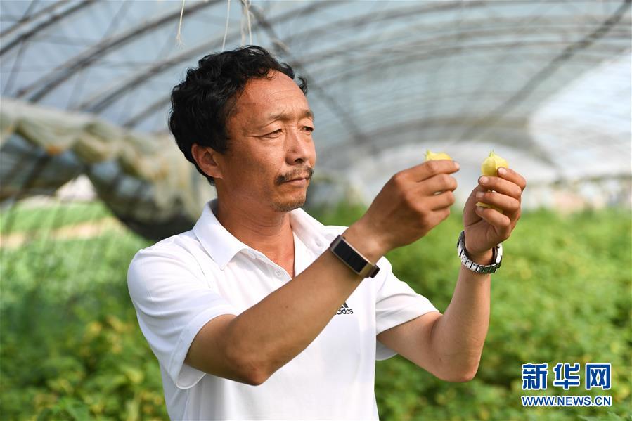 (新華全媒頭條·走向我們的小康生活·圖文互動(dòng))(7)黑土地上是我家——在吉林,一瞥中國東北鄉(xiāng)村美麗未來