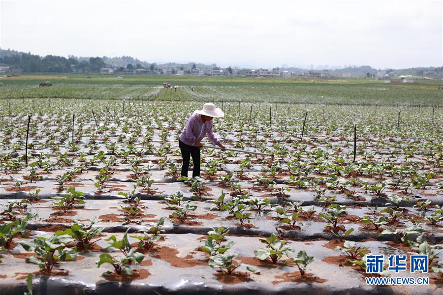 (新華全媒頭條·走向我們的小康生活·決戰決勝脫貧攻堅·圖文互動)(3)千年之渴今朝解——貴州貧困群眾實現“吃水不愁”