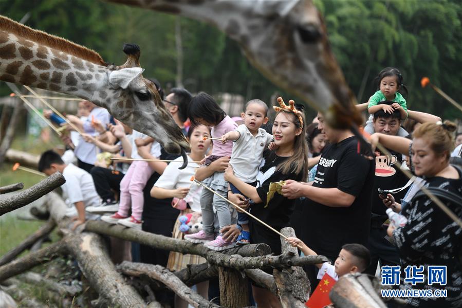 (新華全媒頭條·圖文互動)(9)“綠”從天目盎然出——湖州做好“六穩”工作落實“六保”任務新觀察