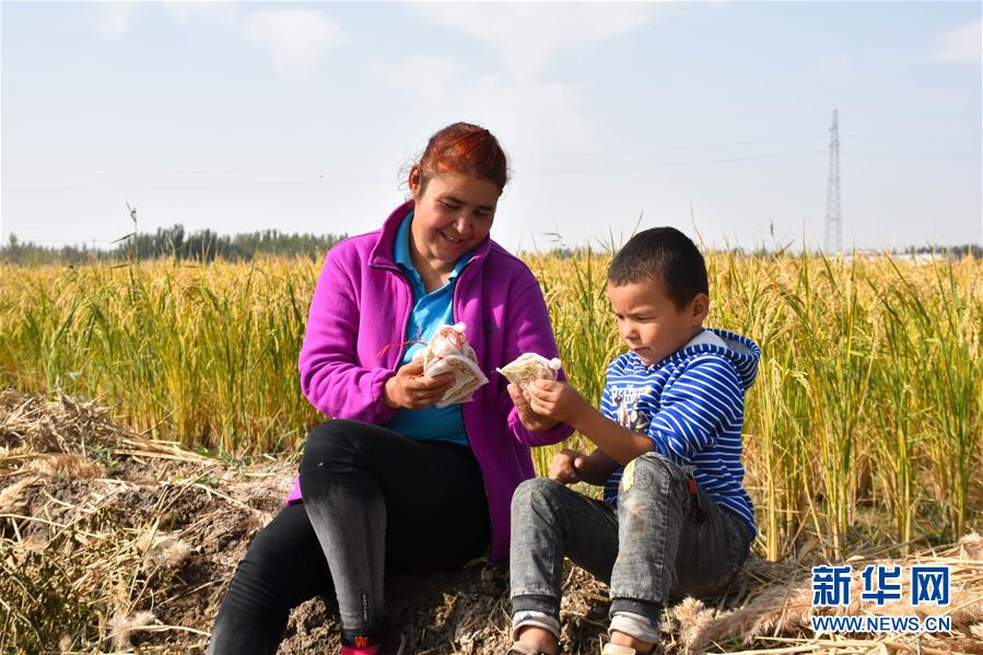 (圖文互動(dòng))(4)我在塔克拉瑪干沙漠種水稻