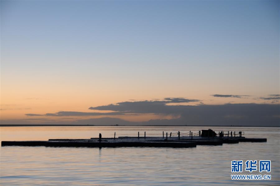 (新華全媒頭條·圖文互動)(2)大湖見證 ——持續保護讓青海湖生態華麗“蝶變”