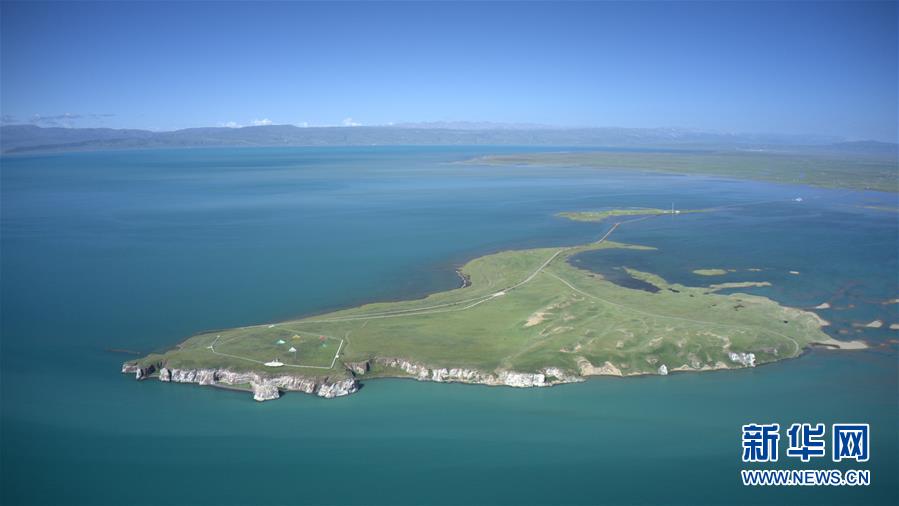 (新華全媒頭條·圖文互動)(6)大湖見證 ——持續保護讓青海湖生態華麗“蝶變”