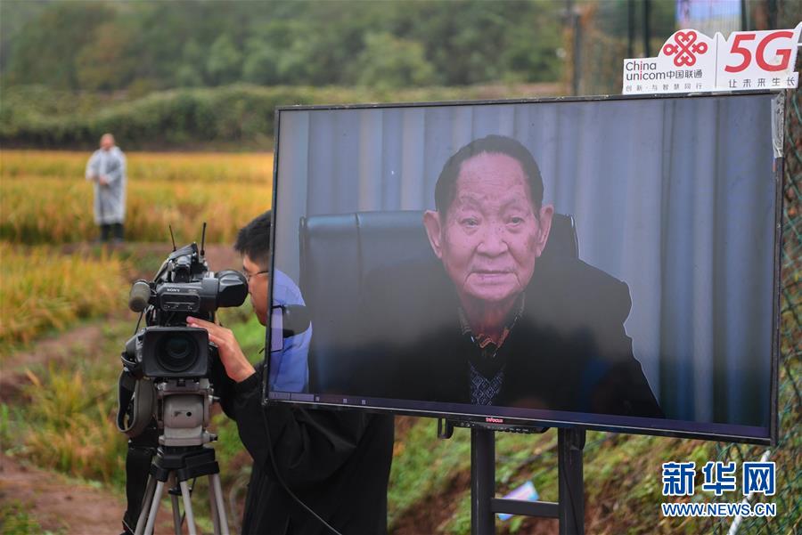 (圖文互動)(4)袁隆平團隊雜交水稻雙季畝產突破1500公斤