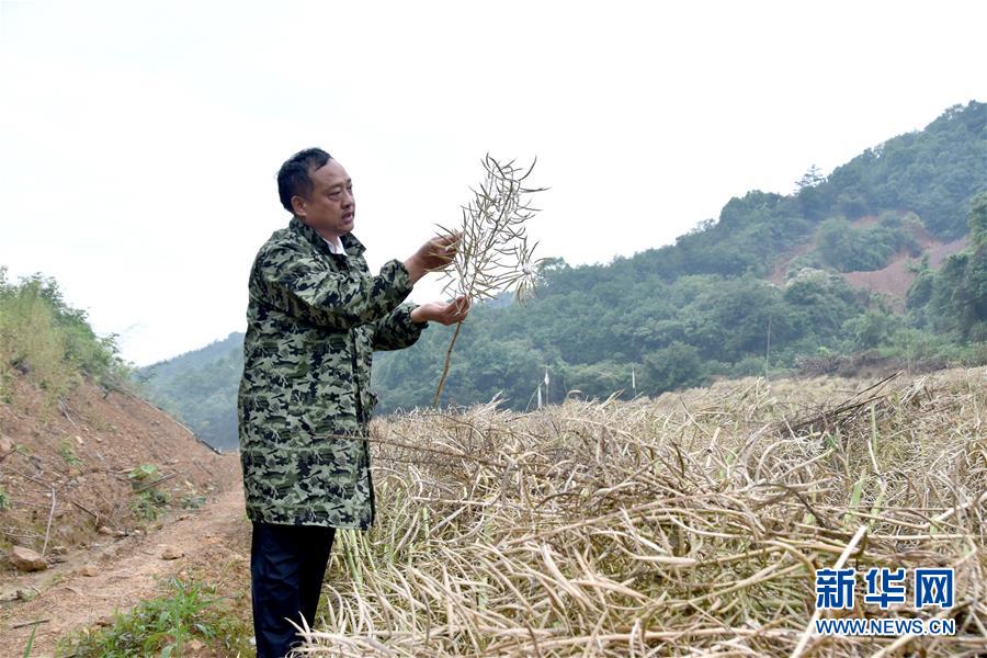 (代表委員履職·圖文互動)(1)“我是農民代表,始終關注農村”——全國人大代表沈昌健的履職故事
