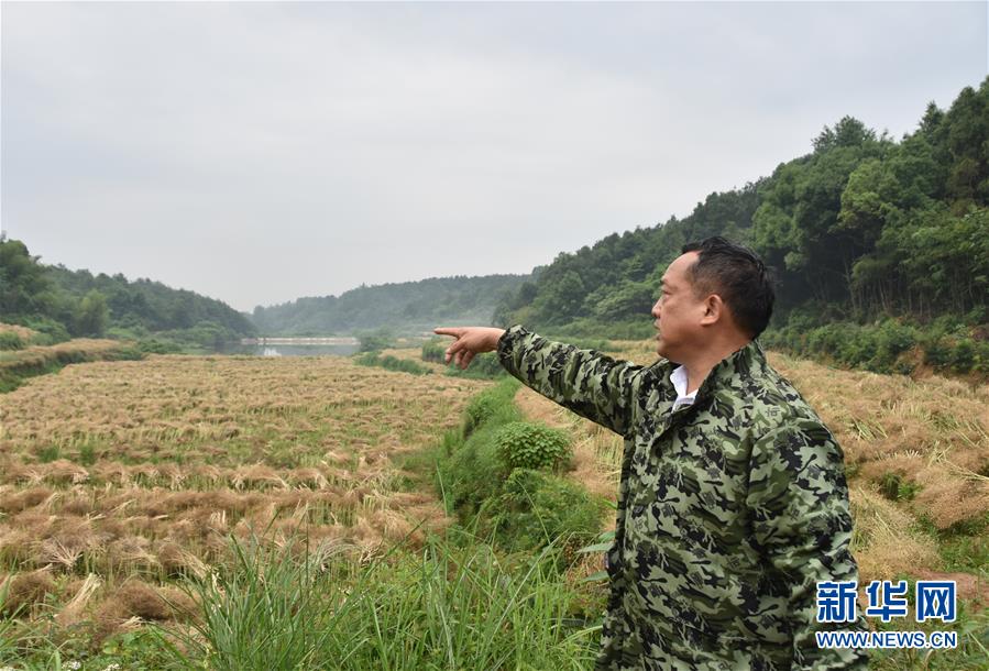 (代表委員履職·圖文互動)(2)“我是農民代表,始終關注農村”——全國人大代表沈昌健的履職故事