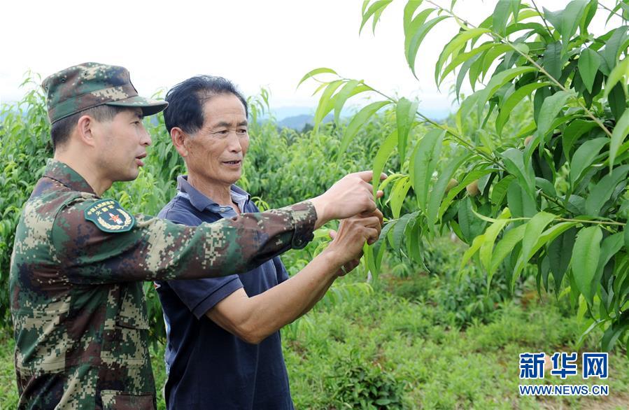 (代表委員履職·圖文互動)(2)跑遍山寨送希望 奔波萬里助脫貧——全國人大代表周豐林履職記