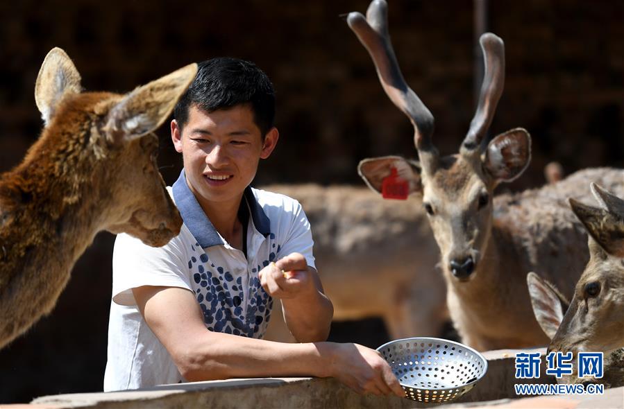 (“中國面貌”系列述評·圖文互動(dòng))(3)奇跡中國——70年中國面貌變遷述評之一