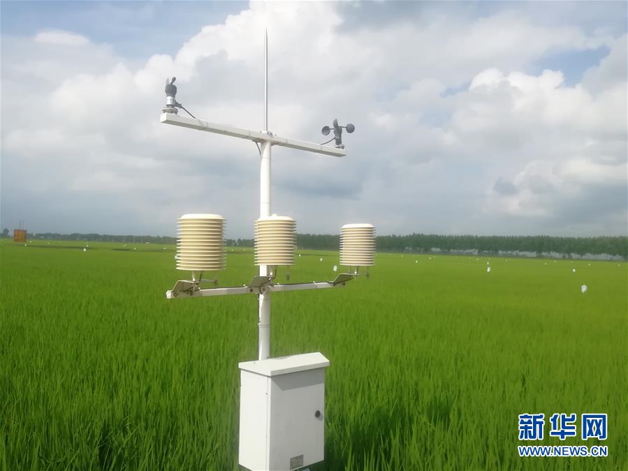 (在習近平新時代中國特色社會主義思想指引下——新時代新作為新篇章·習近平總書記關切事·圖文互動)(8)為農田注入硬核生產力——一些地方春耕中農業科技創新掃描