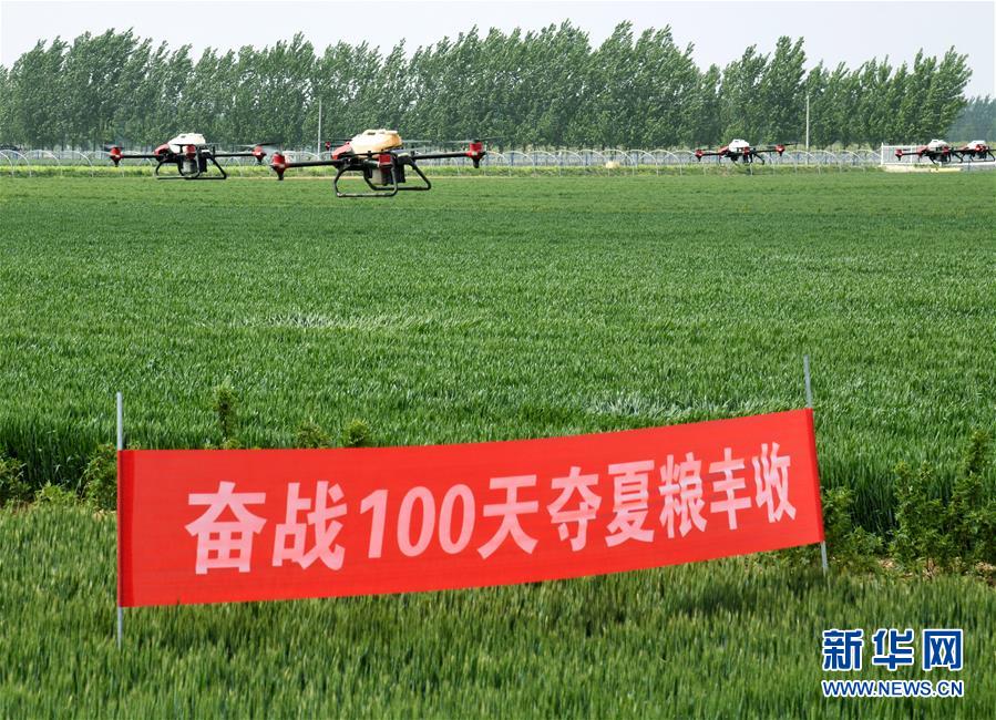 (在習近平新時代中國特色社會主義思想指引下——新時代新作為新篇章·習近平總書記關切事·圖文互動)(9)新農事、新希望——夏收前田間新動態掃描