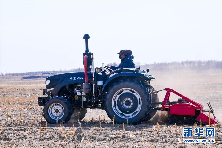 (在習近平新時代中國特色社會主義思想指引下——新時代新作為新篇章·習近平總書記關切事·圖文互動)(8)讓百姓吃得飽還要吃得好——夯實糧食安全基礎端牢中國飯碗