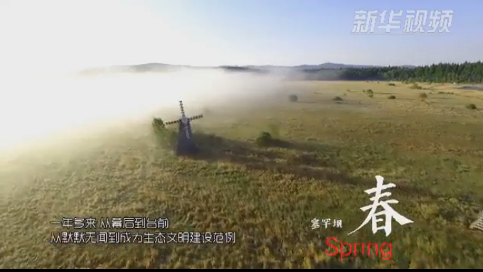塞罕壩:那一抹綠色,走進越來越多人心里