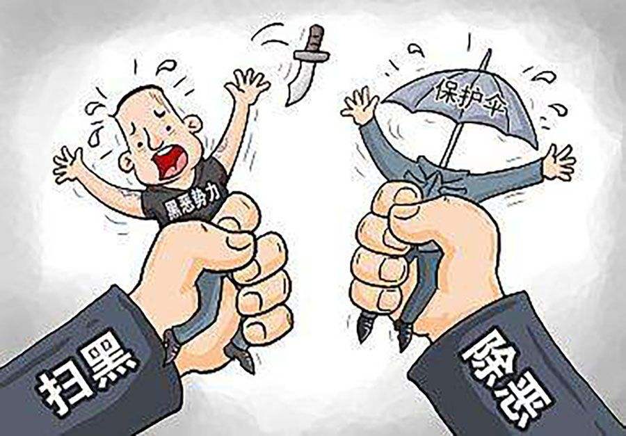 辛識(shí)平:將掃黑除惡進(jìn)行到底