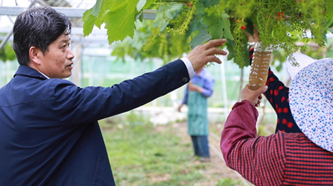 聶永平與“小康村”的泥土鄉情