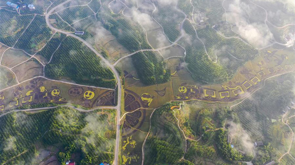 百城千縣萬村調研行|在三峽橘鄉,遇見最美的田園時光!