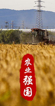 農業強國是社會主義現代化強國的根基。