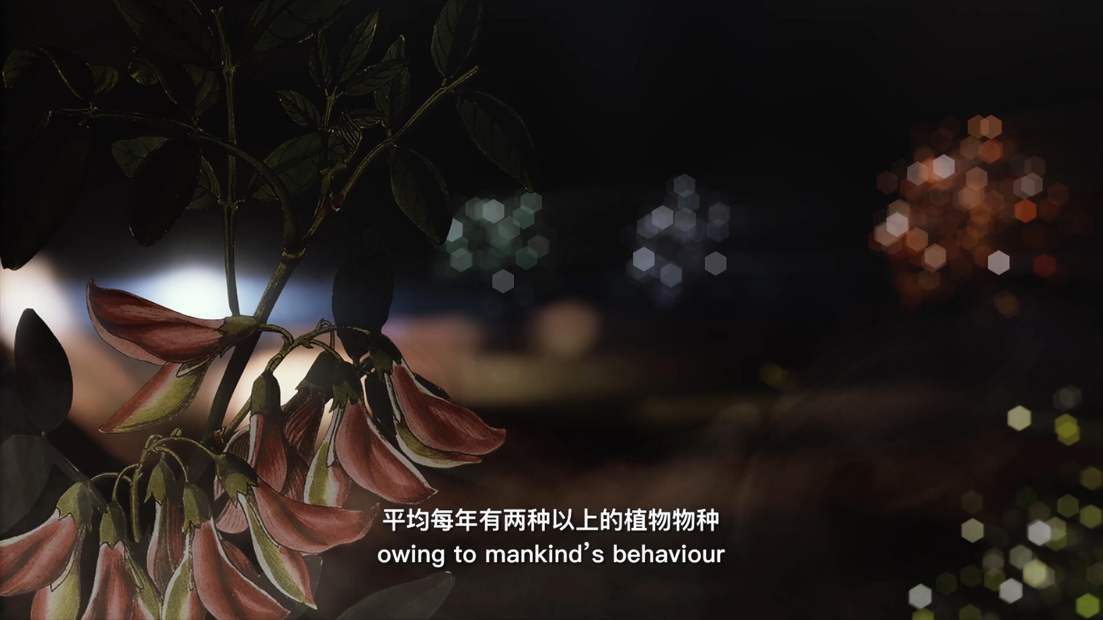 自18世紀中葉以來，許多植物物種因為人類的原因而從地球上消失