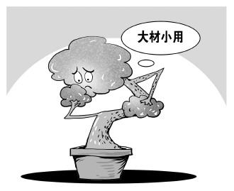 自認(rèn)“大材小用”，不如腳踏實地