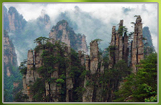 奇趣自然 張家界國(guó)家森林公園