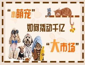 “小萌寵”如何撬動千億“大市場”？
