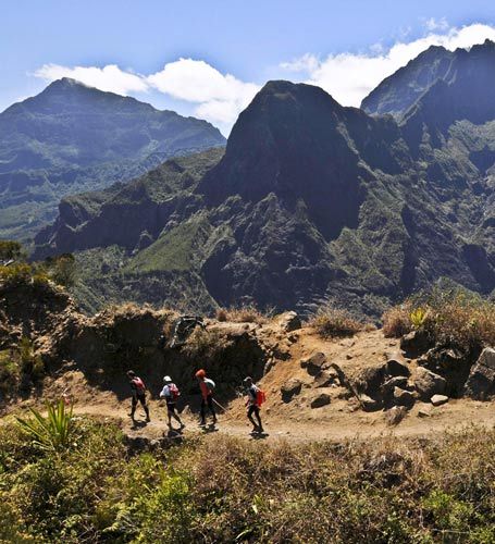 大規模原始森林