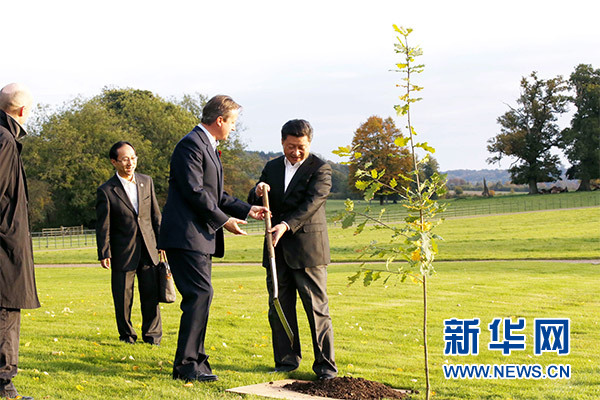 兩國領導人一同在別墅草坪，共同種下象征中英友誼的橡樹。新華社記者 鞠鵬 攝