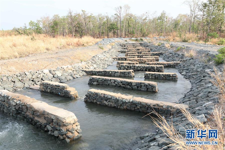 (國際·“一帶一路”高峰論壇·圖文互動)(2)通訊:為魚兒保障回家的路——中國水電工程助力柬埔寨綠色發展