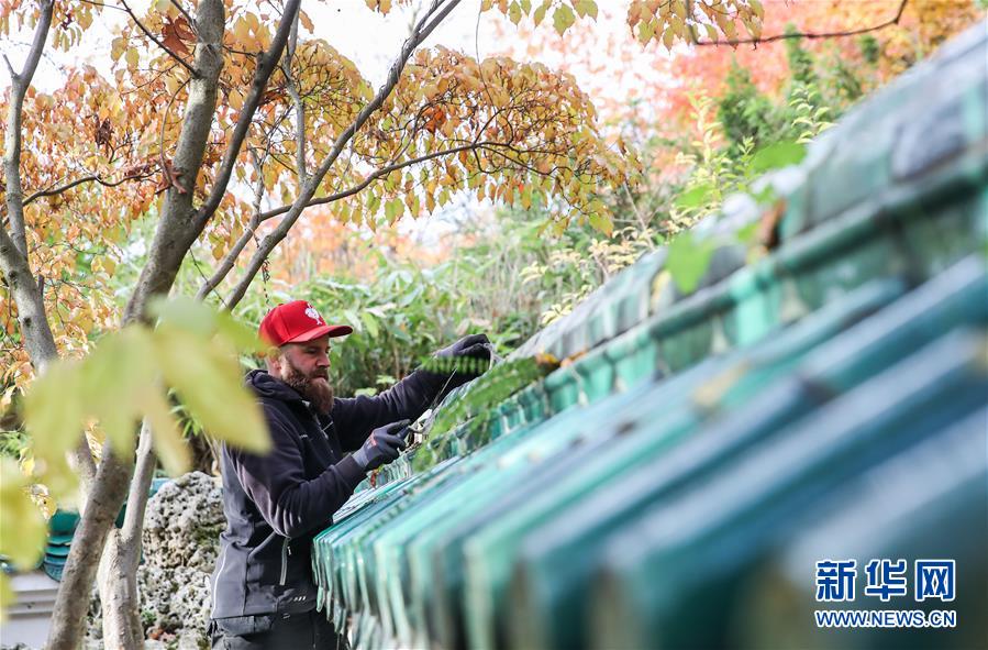 （國際·圖文互動）（1）通訊：守護魯爾河畔中國園林的德國志愿者