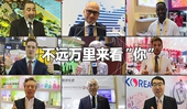 看快閃《不遠萬里來看“你”》，聽老外點贊進博會