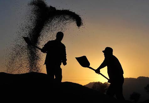 外媒聚焦中國第三季度經濟成績單