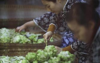 涪陵榨菜:舌尖上的“國民下飯菜”